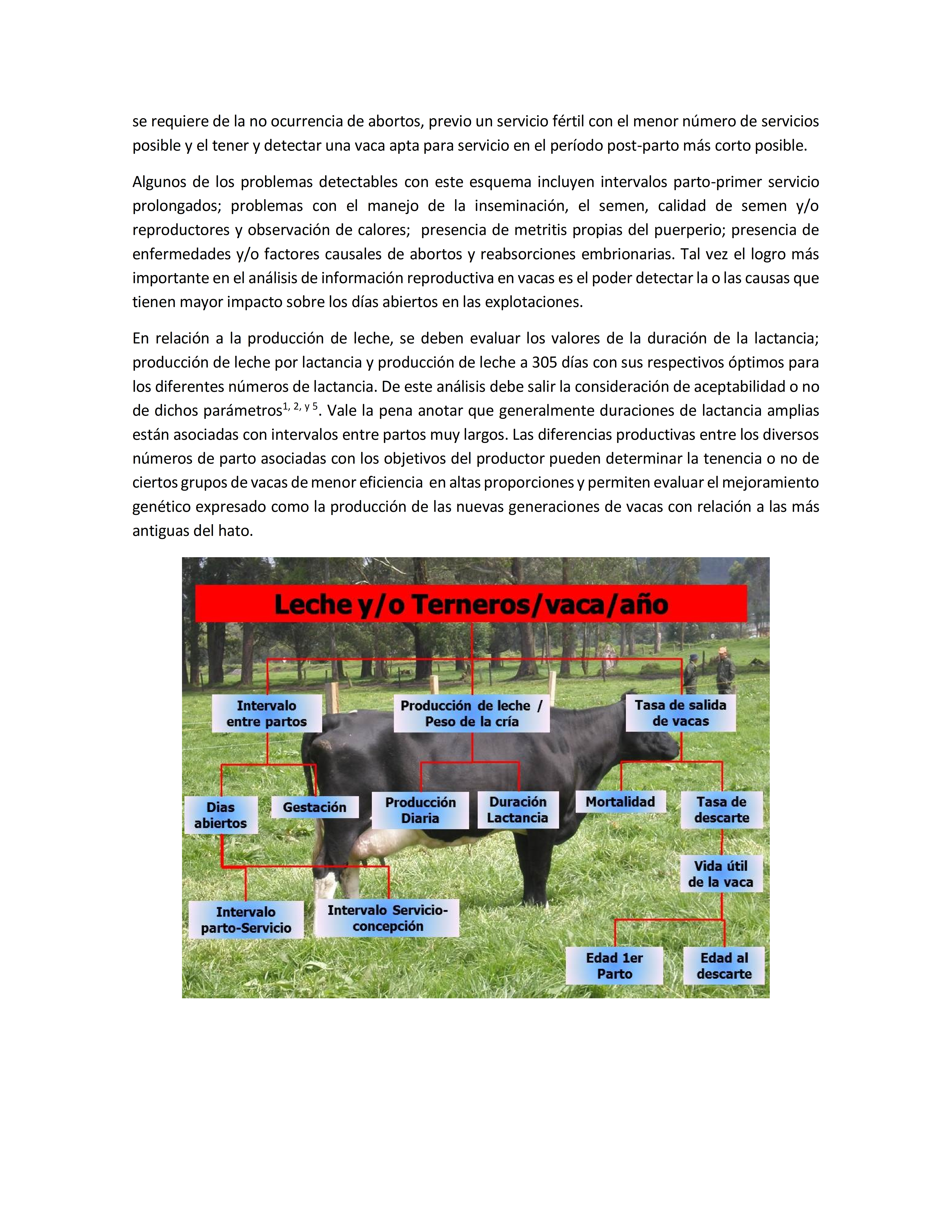 06-analisis-de-la-informacion-obtenida-en-explotaciones-bovinas-docx_007