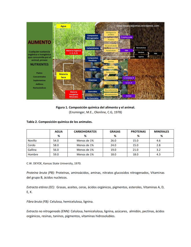 11-nutricion-y-alimentacion-de-los-bovinos-productos-y-materias-primas-regionales_006